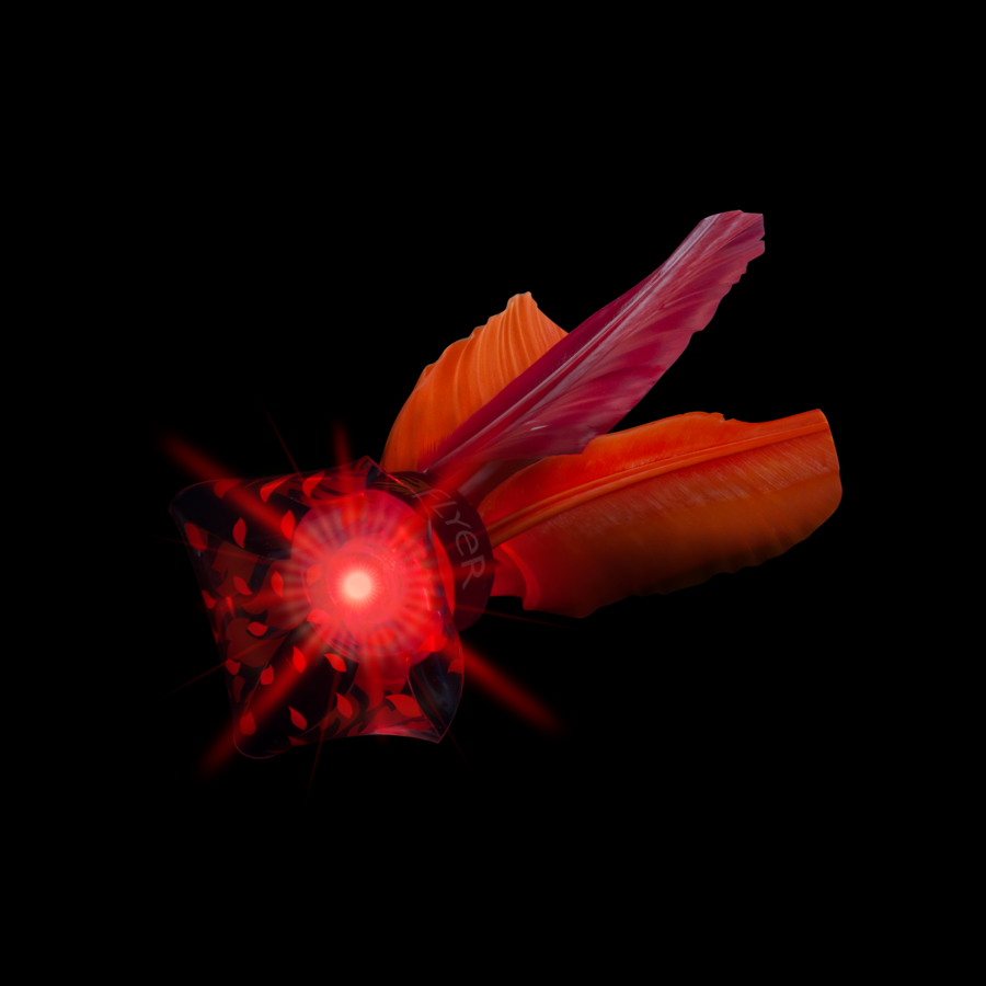 Indiacapall "Waboba LED Flyer"