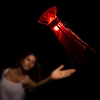 Indiacapall "Waboba LED Flyer"