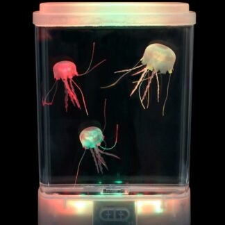 JellyFish akvaarium