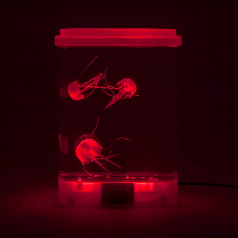 JellyFish akvaarium