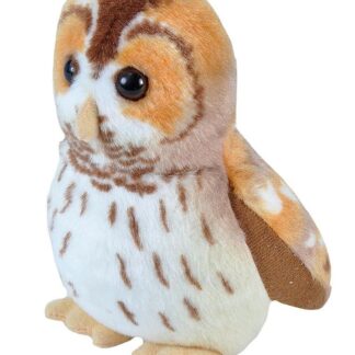 Laulev lind "Kodukakk"