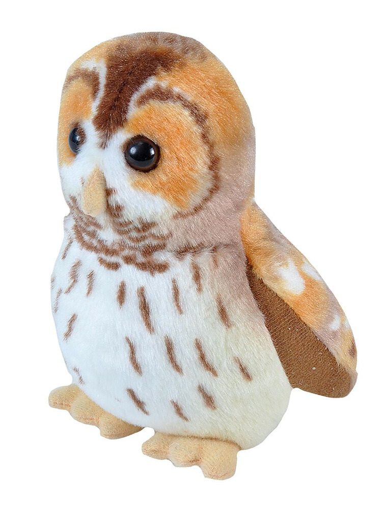 Laulev lind "Kodukakk"