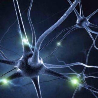 3D postkaart "Neuron"