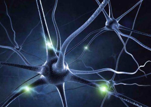 3D postkaart "Neuron"