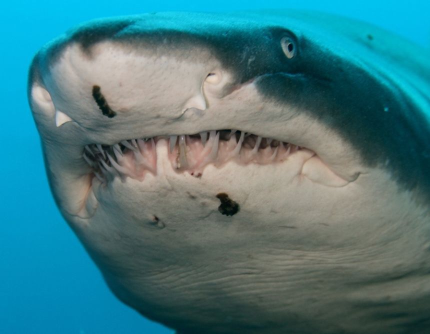 Taskulamp-projektor "Haid"