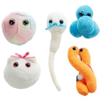 Bakterid, viirused ja rakud