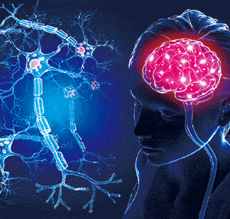 3D postkaart "Aju ja närvirakud"