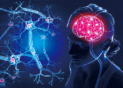 3D postkaart "Aju ja närvirakud"