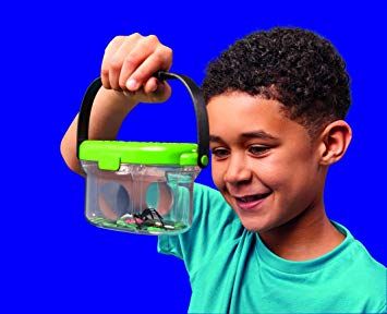 Brainstorm Putukauurimispurk