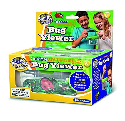 Brainstorm Putukauurimispurk