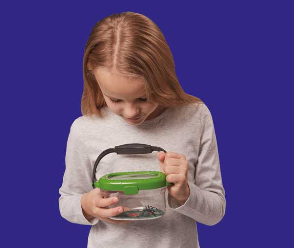 Brainstorm Putukauurimispurk