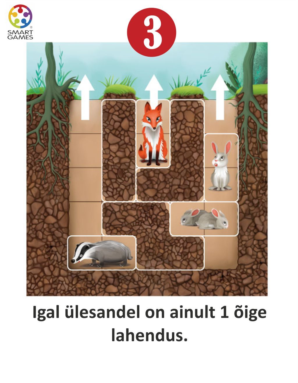 SmartGames Reisimäng "Taibukate jänkude urg"