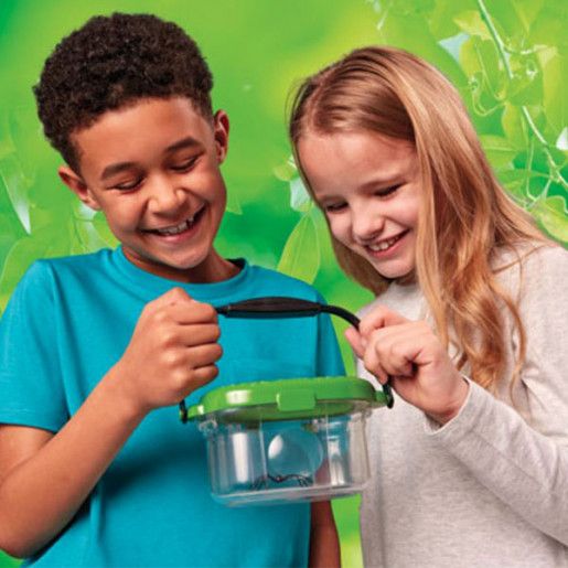 Brainstorm Putukauurimispurk