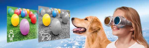 Optikateaduse komplekt