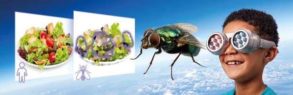 Optikateaduse komplekt