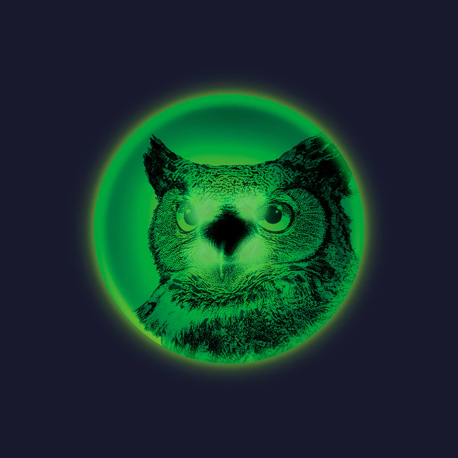 Lendav taldrik "Wingman UFO"