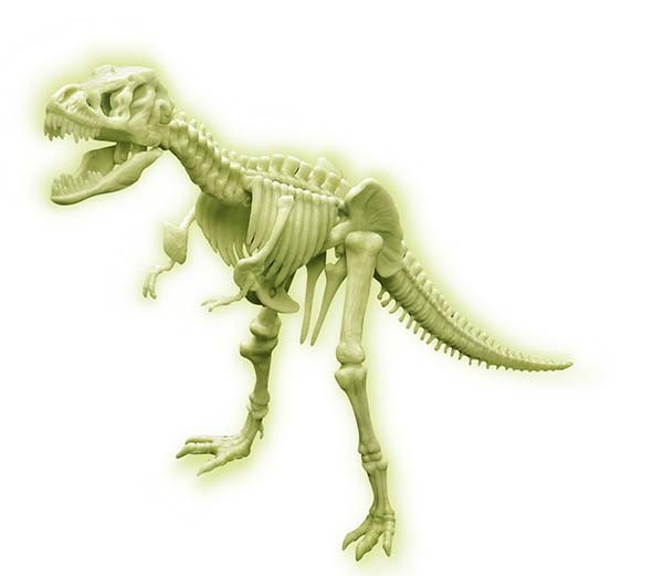 4M Helendav dinosauruse skelett