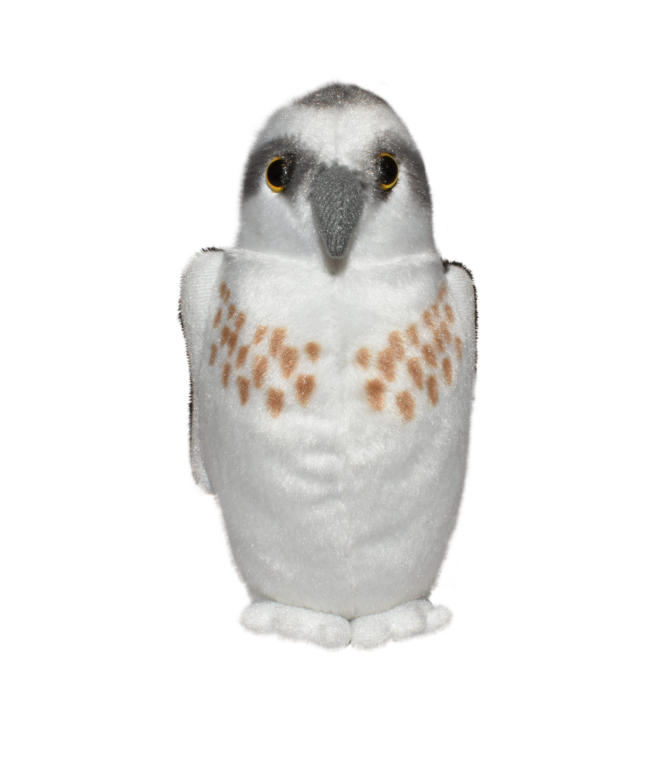 Laulev lind "Kalakotkas"