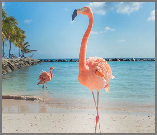 Taskulamp-projektor "Naljakad loomad"