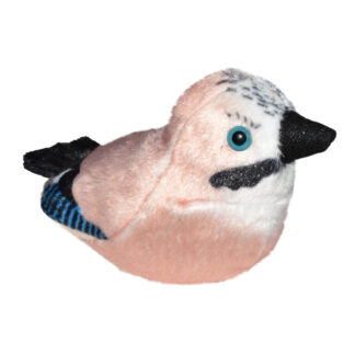 Laulev lind "Pasknäär"