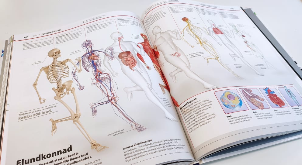 Raamat "Teadmiste entsüklopeedia. Teadus"