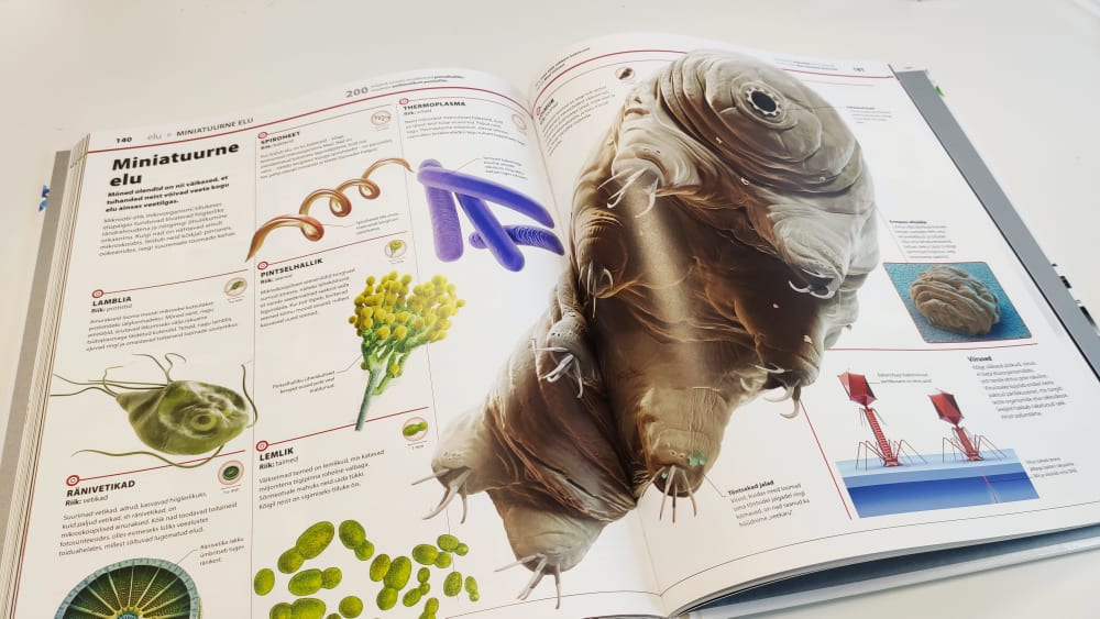 Raamat Teadmiste entsüklopeedia. Teadus