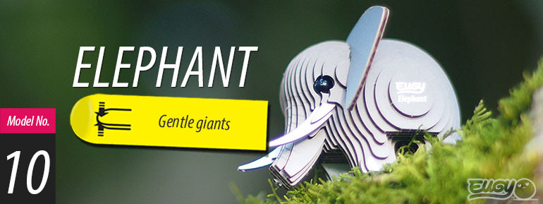 EUGY 3D mudel Elevant