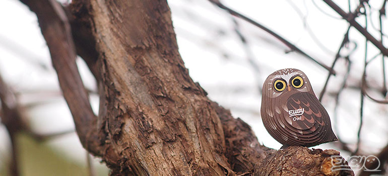 EUGY 3D mudel "Öökull"