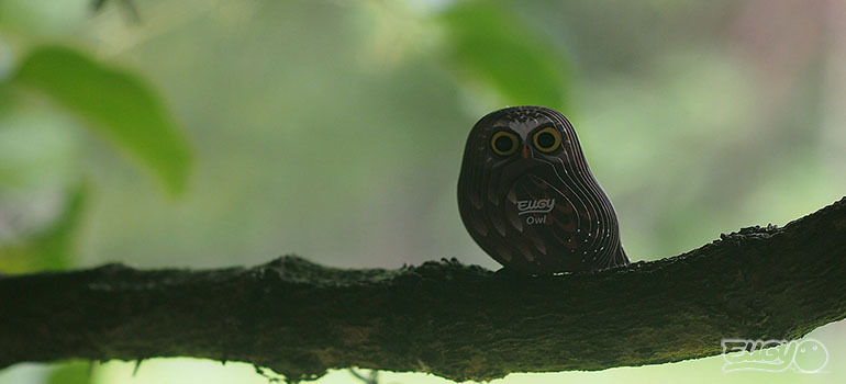 EUGY 3D mudel "Öökull"