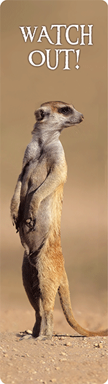 3D järjehoidja "Surikaat"