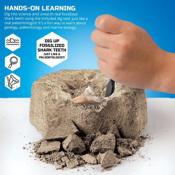 Discovery Mindblown Hai hammaste kaevandamine