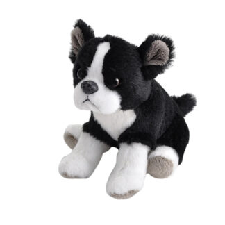 Mustavalgekirju kutsu