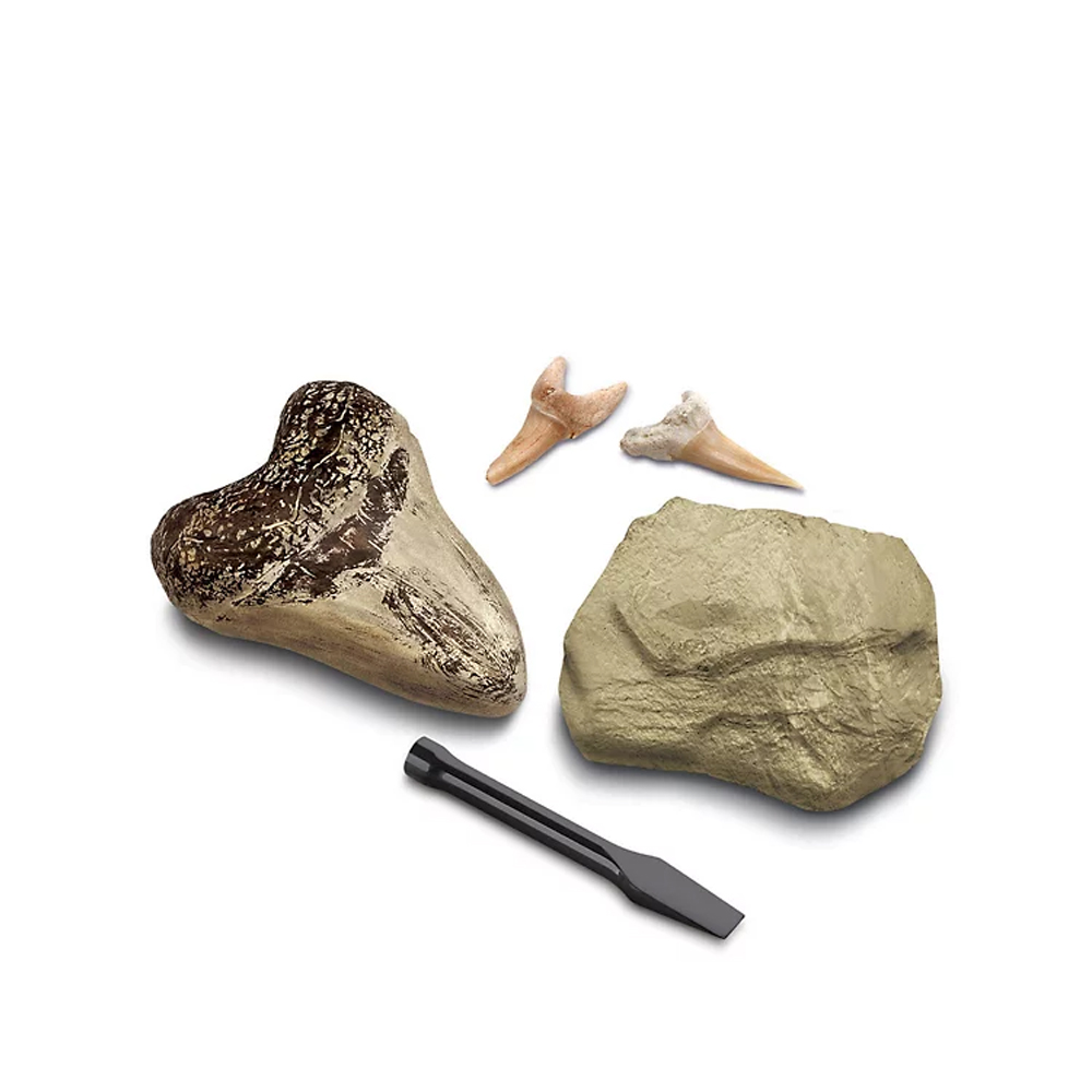 Discovery Mindblown Hai hammaste kaevandamine