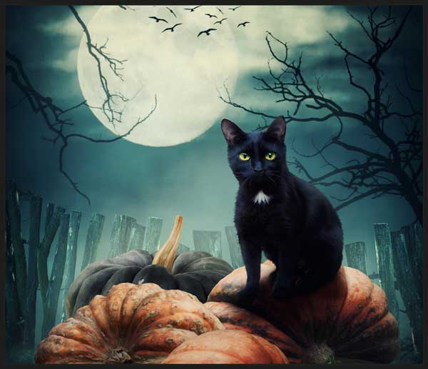 Taskulamp-projektor "Võlur ja Draakon"