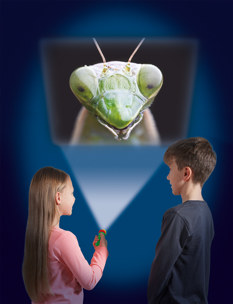 Taskulamp-projektor "Putukad"