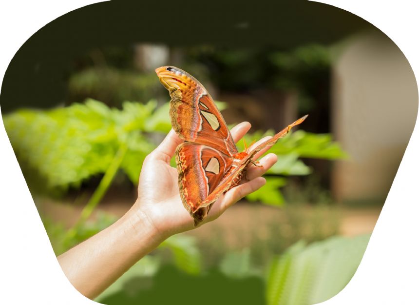 Taskulamp-projektor "Putukad"