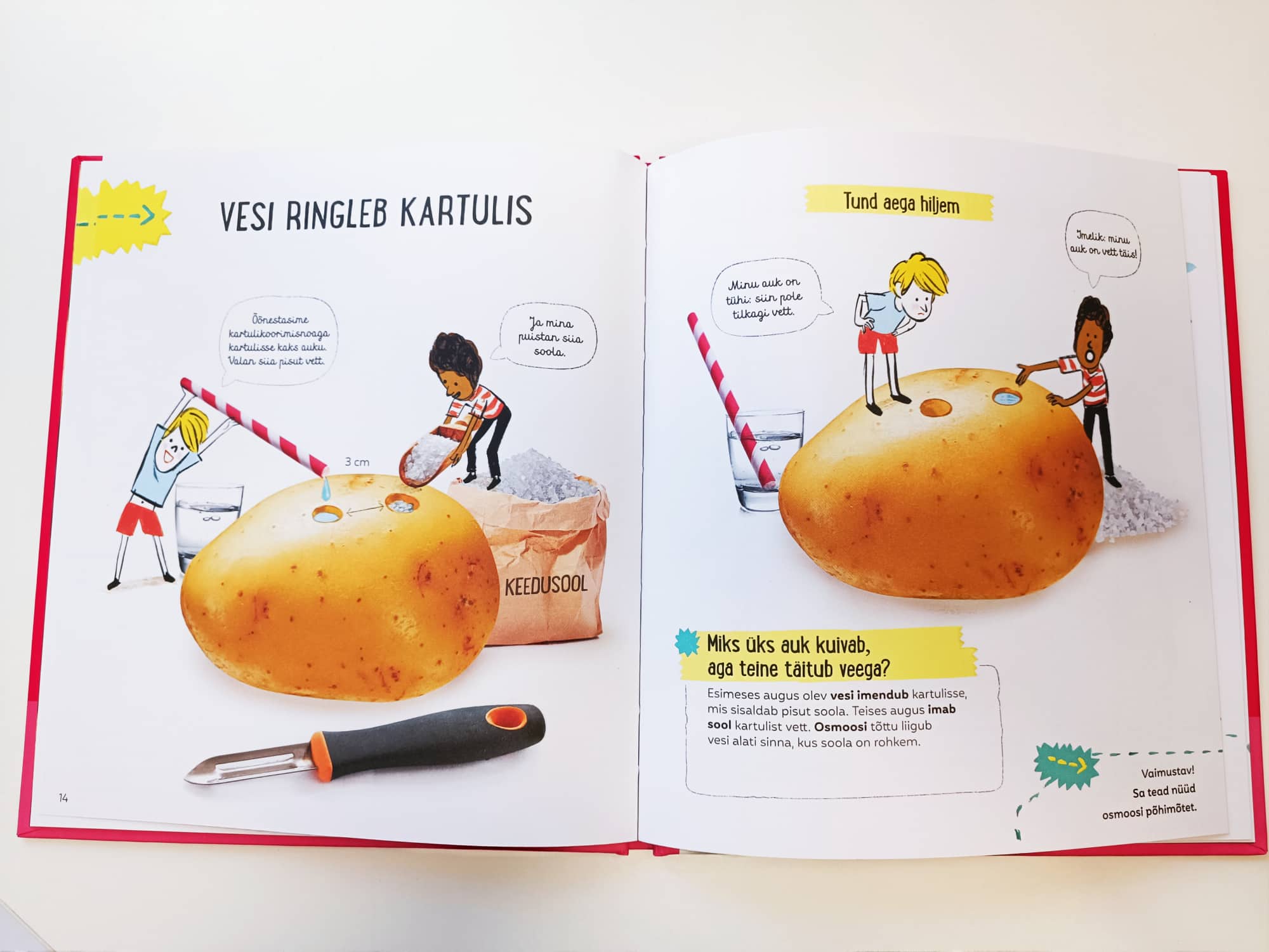 Raamat "Lihtne teadus. Kartul"