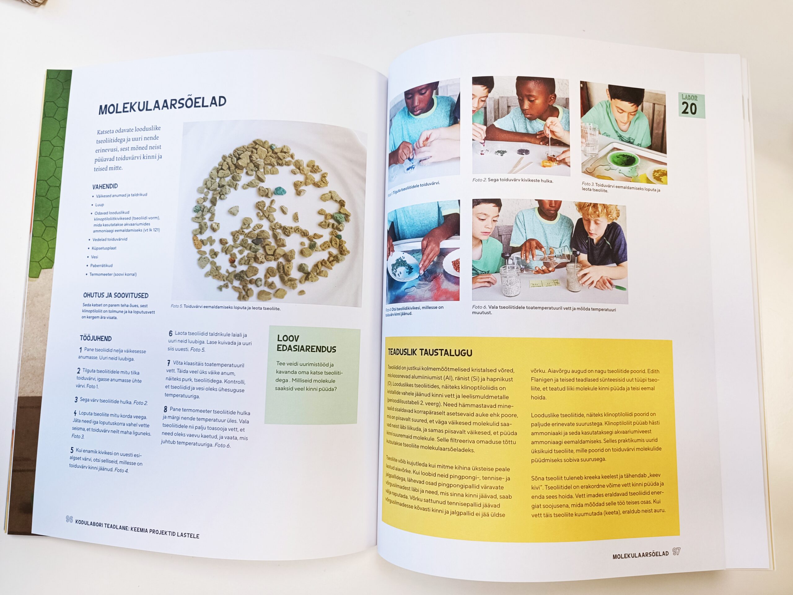 Kodulabori teadlane. Keemia. Projektid lastele
