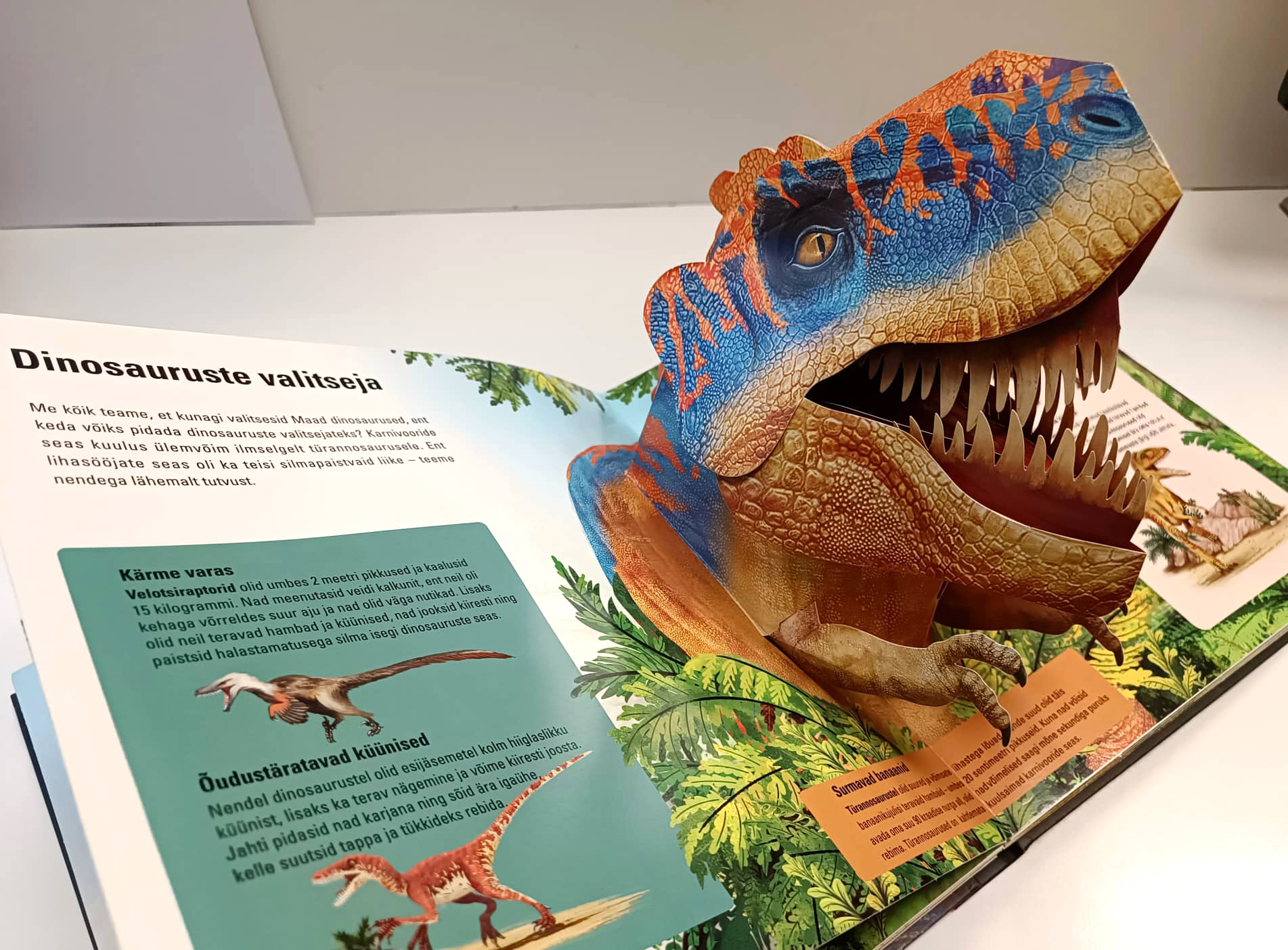 Raamat Dinosauruste 3D-maailm
