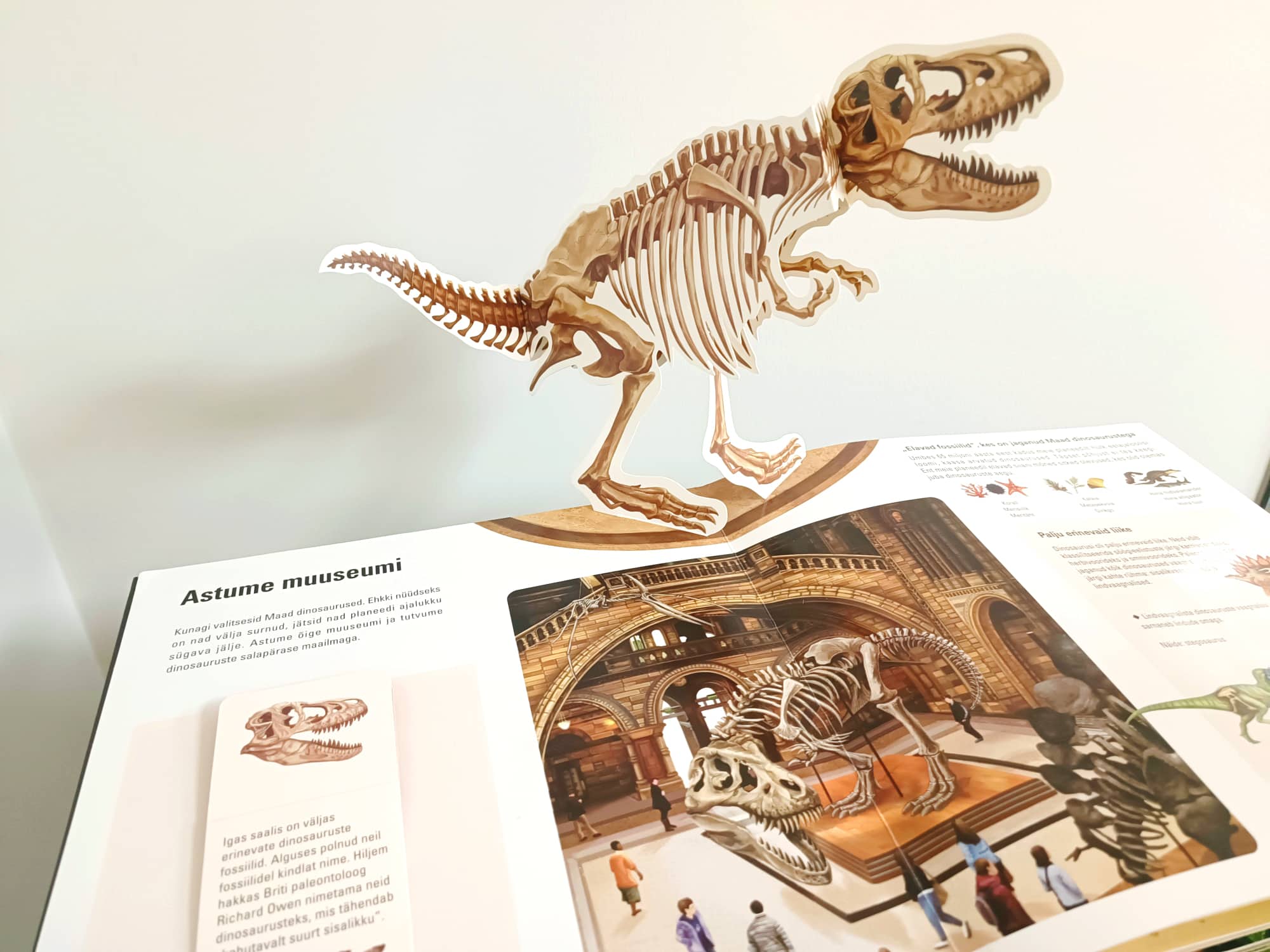 Raamat Dinosauruste 3D-maailm