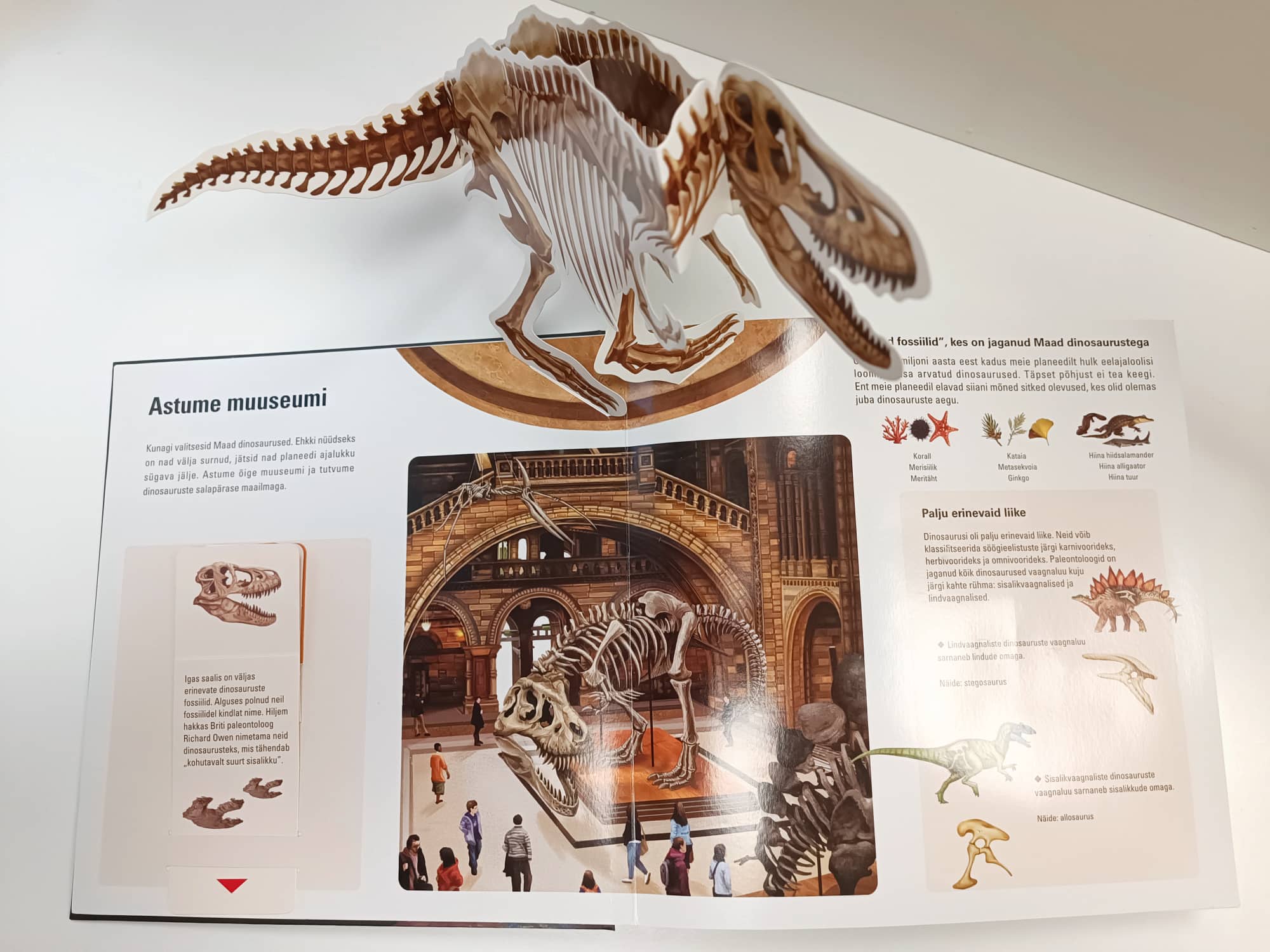 Raamat "Dinosauruste 3D-maailm"