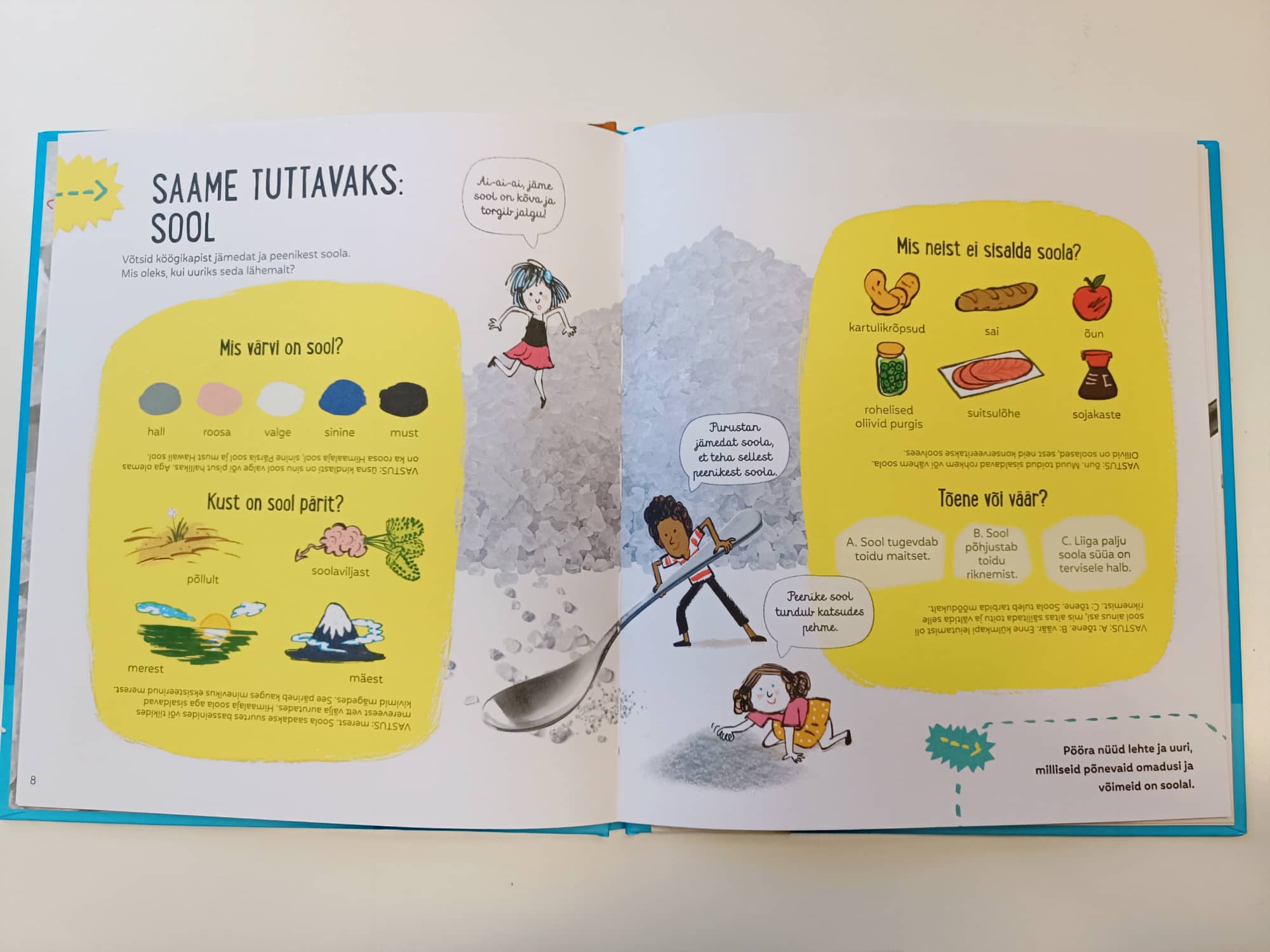 Raamat Lihtne teadus. Sool