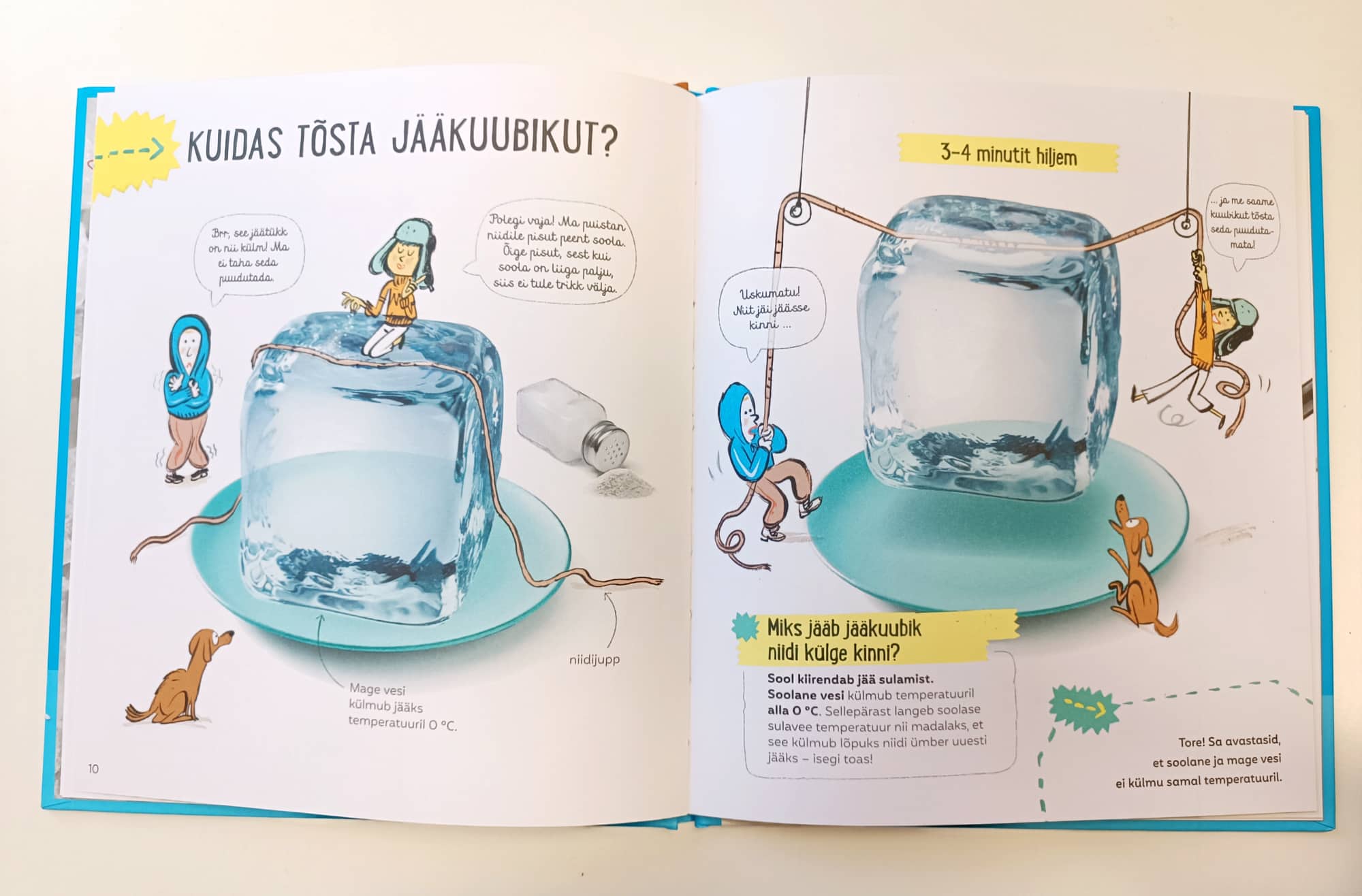 Raamat Lihtne teadus. Sool