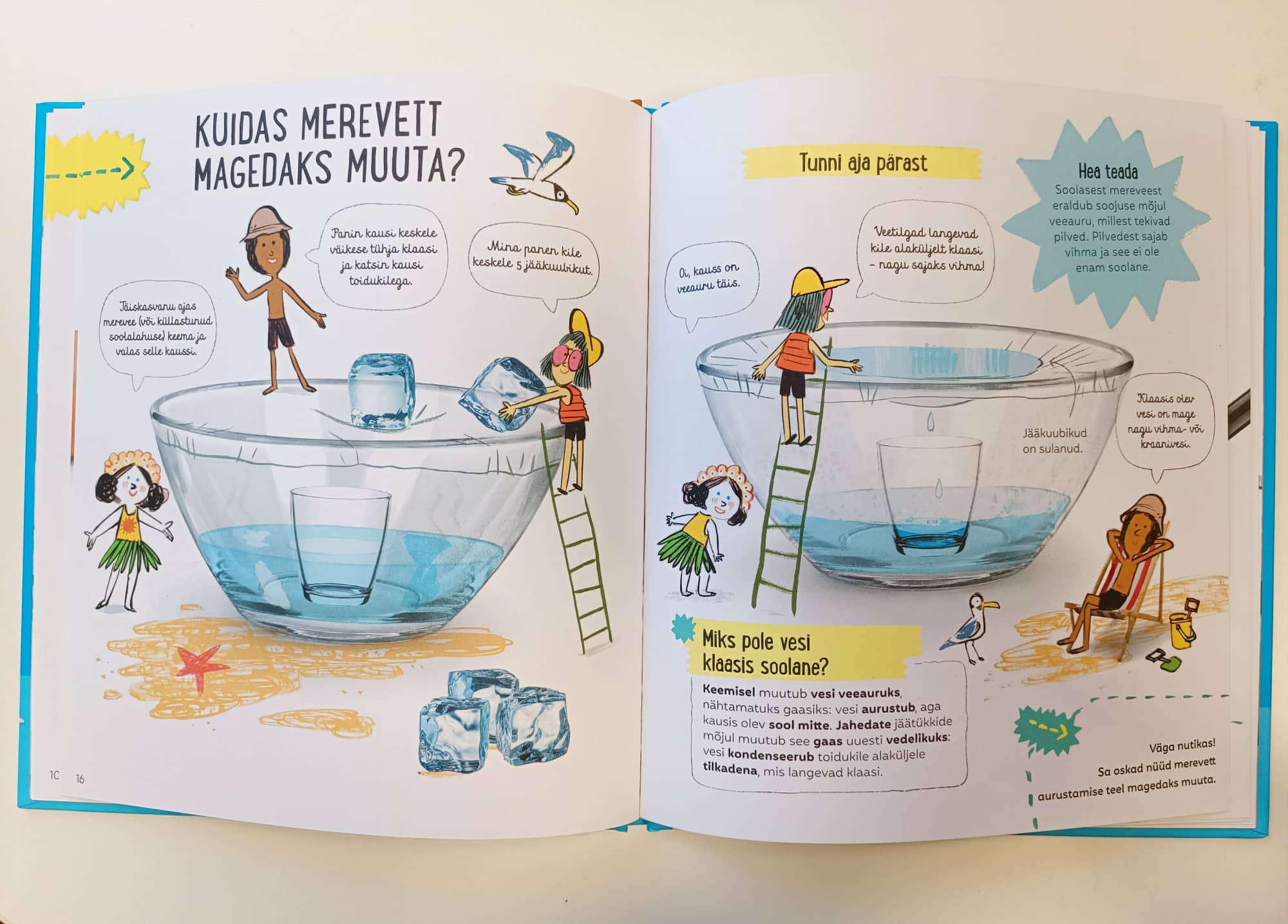 Raamat Lihtne teadus. Sool