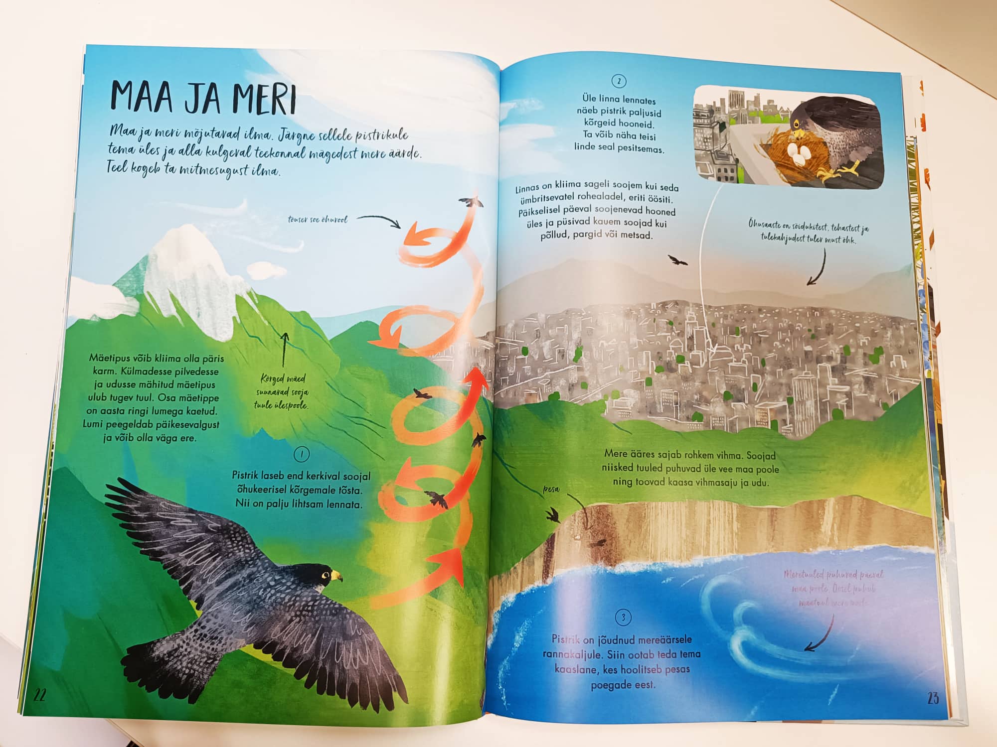 Minu suur ilmaraamat