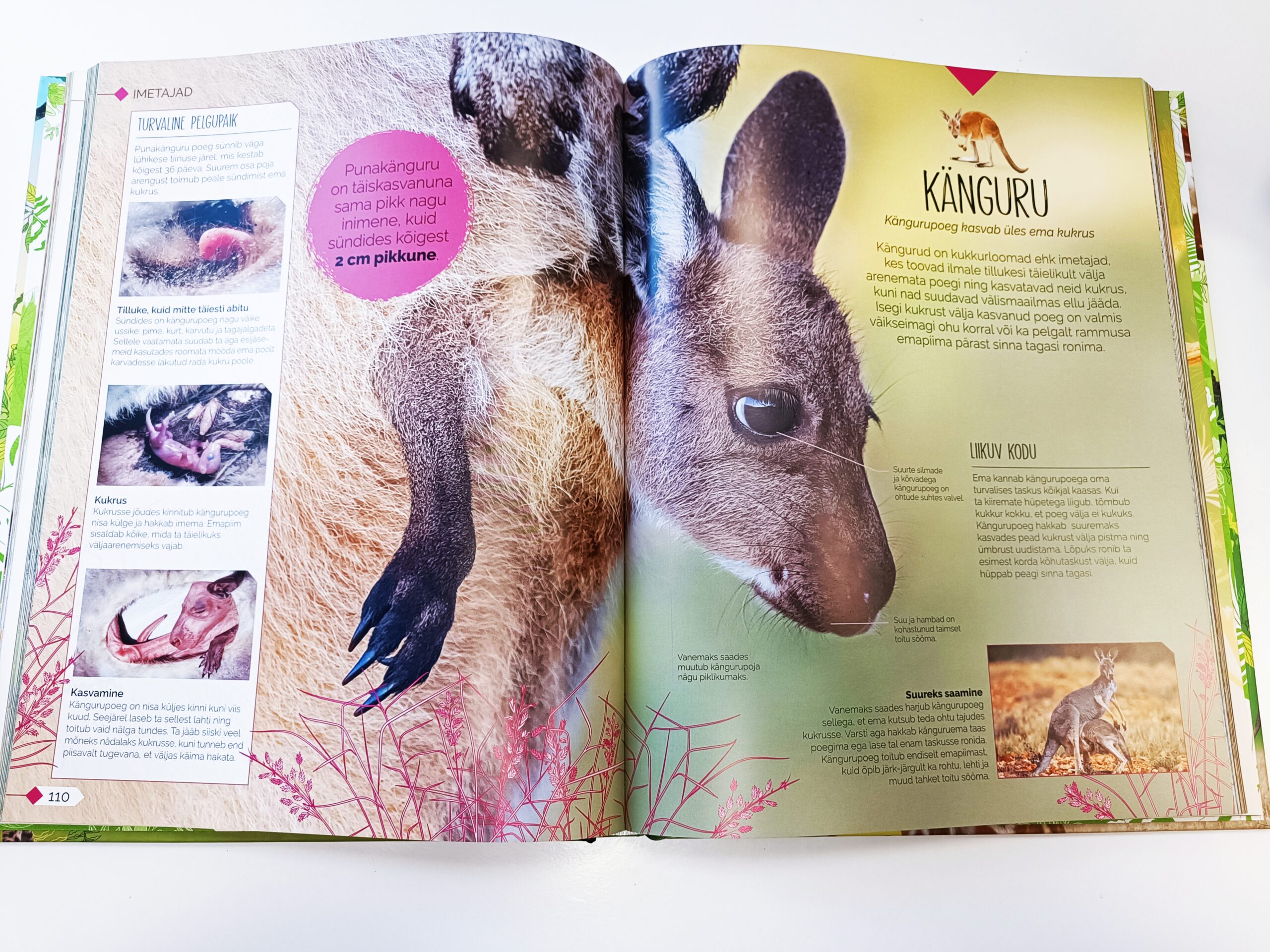 Raamat "Vabana sündinud"