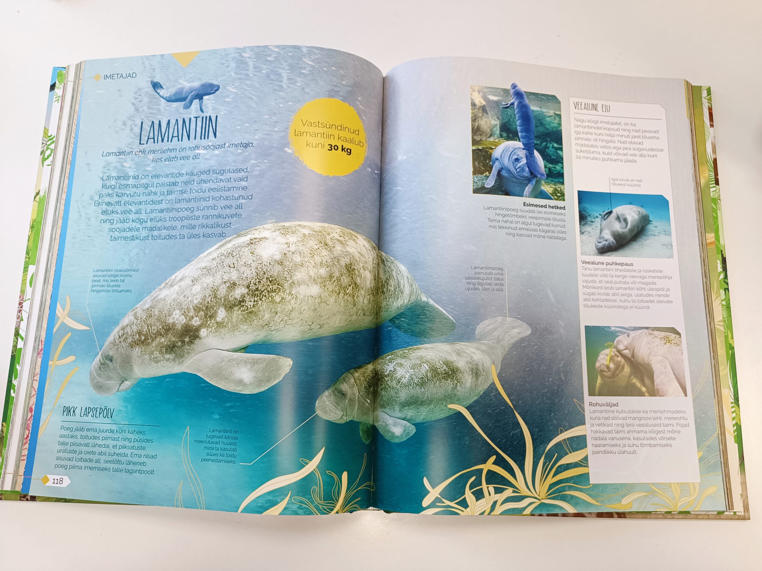 Raamat "Vabana sündinud"