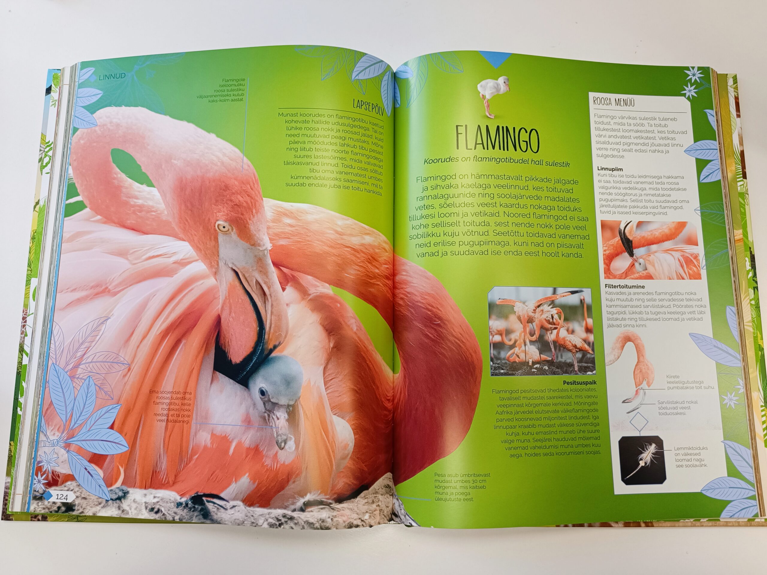 Raamat "Vabana sündinud"