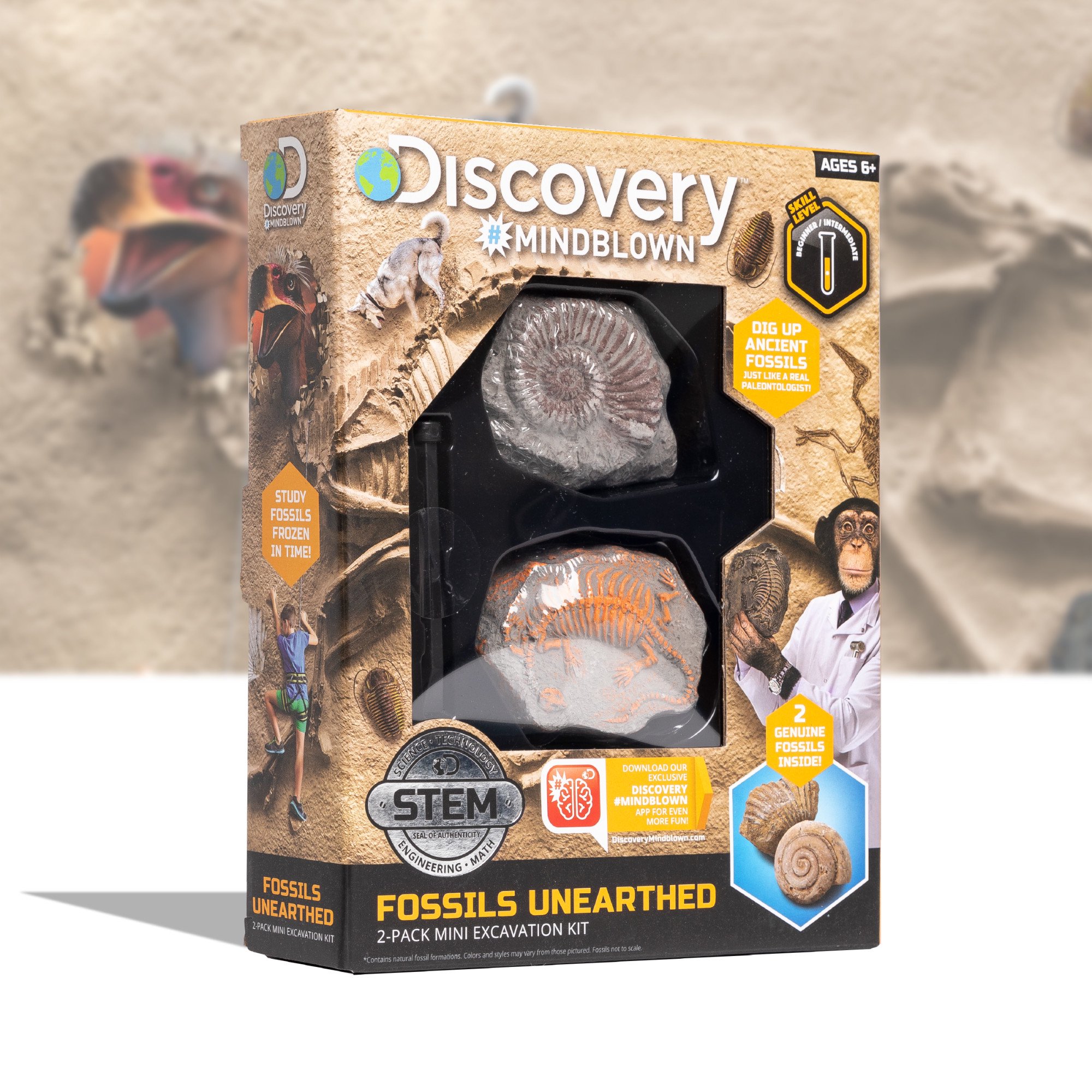 Discovery Mini Fossil Dig Set 2 Pack
