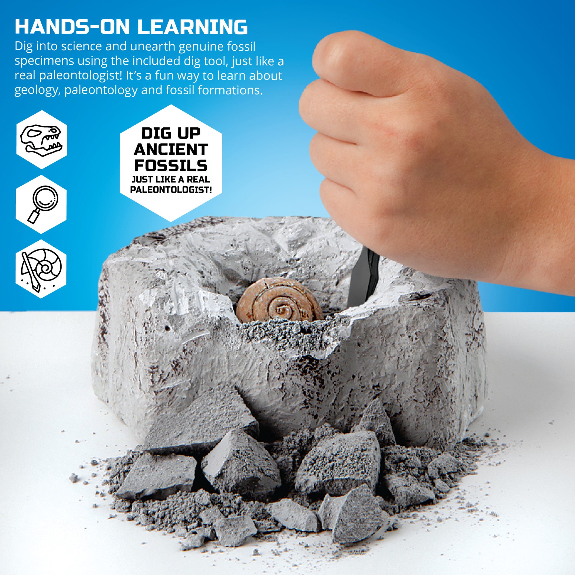 Discovery Mini Fossil Dig Set 2 Pack